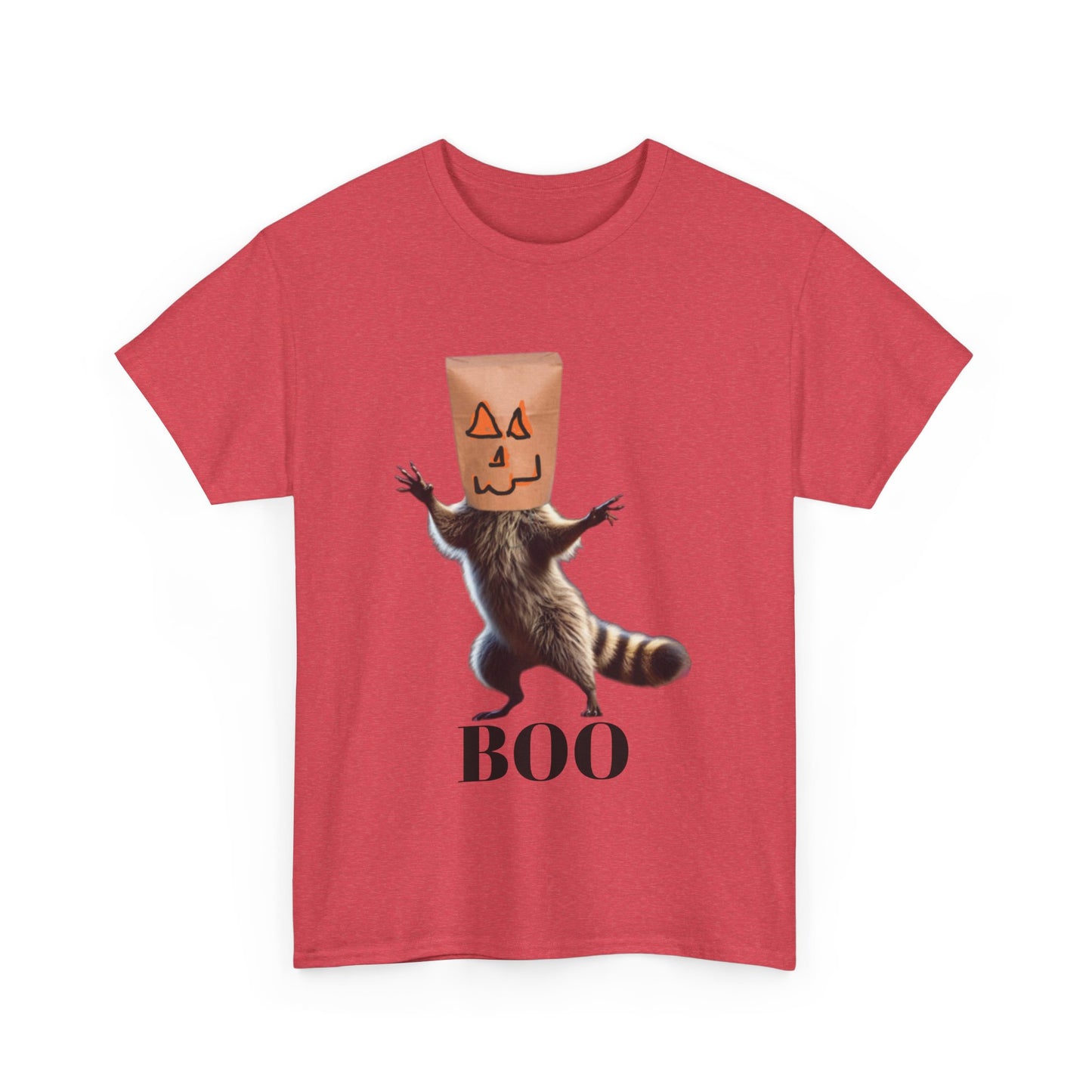 Boo Raccoon