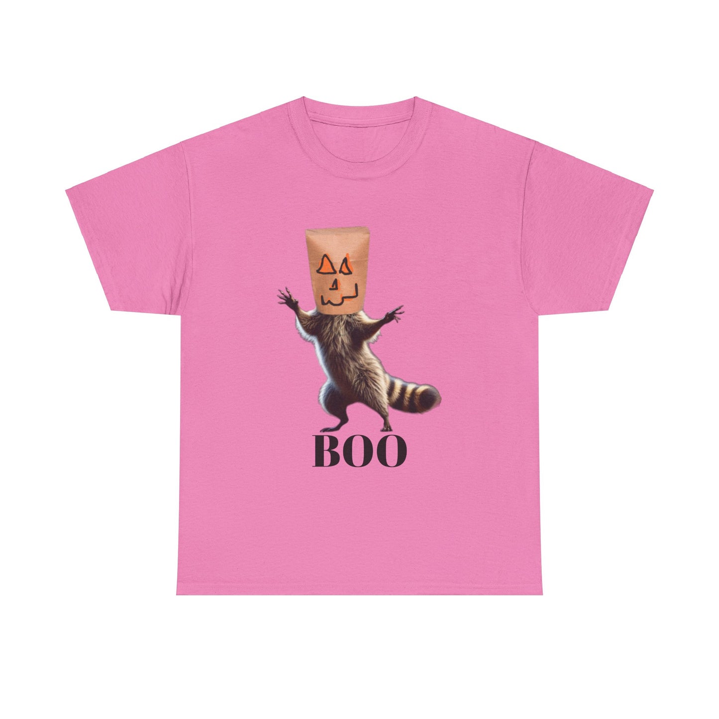 Boo Raccoon