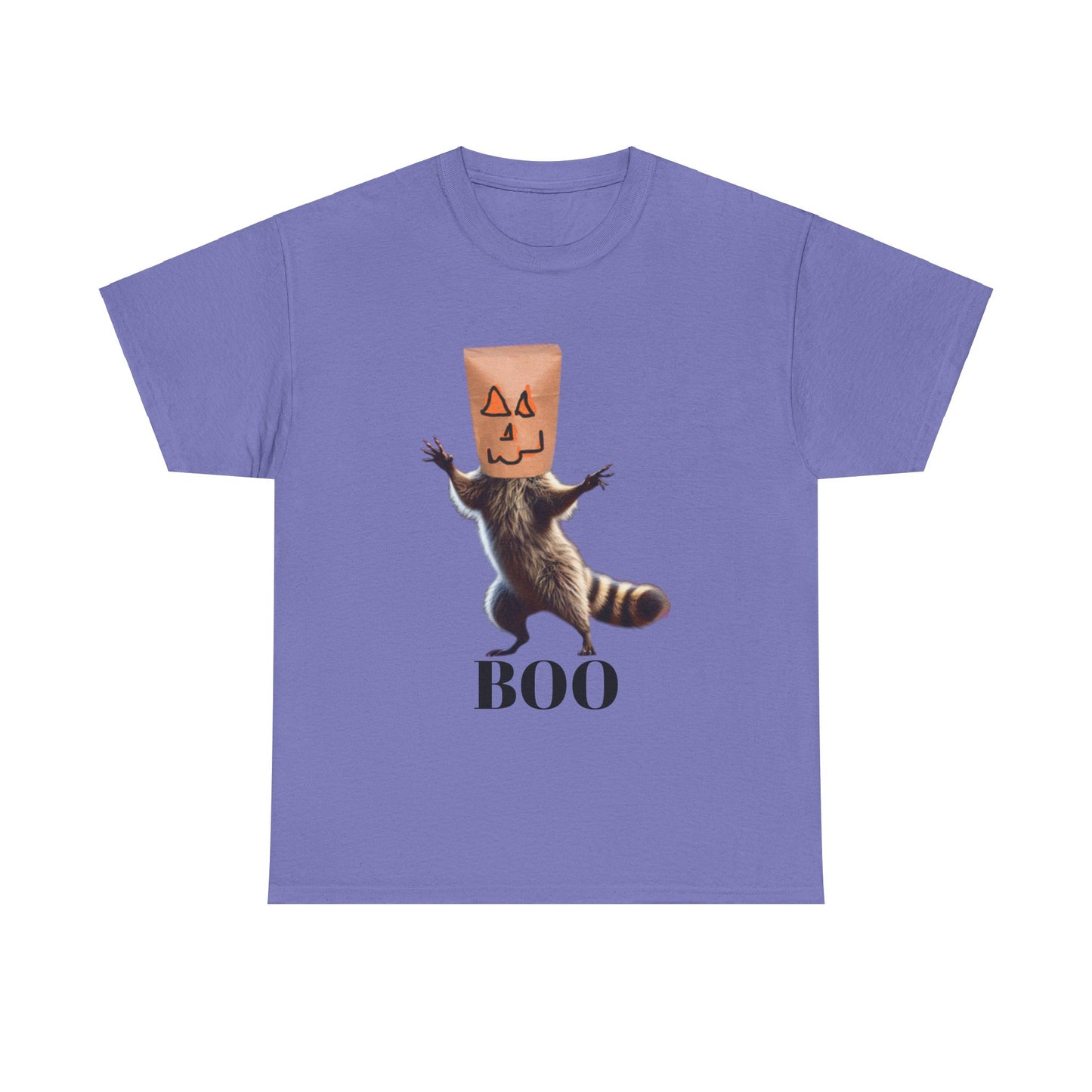 Boo Raccoon