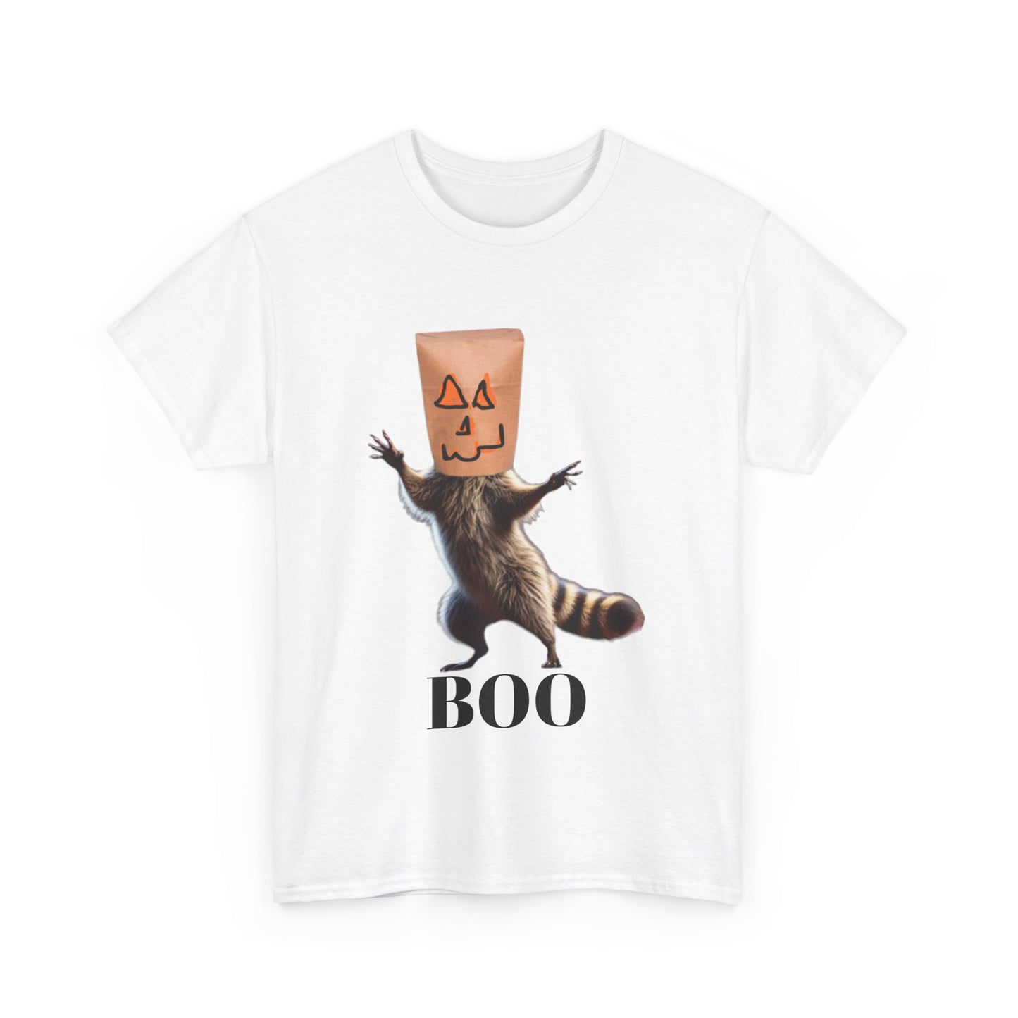 Boo Raccoon