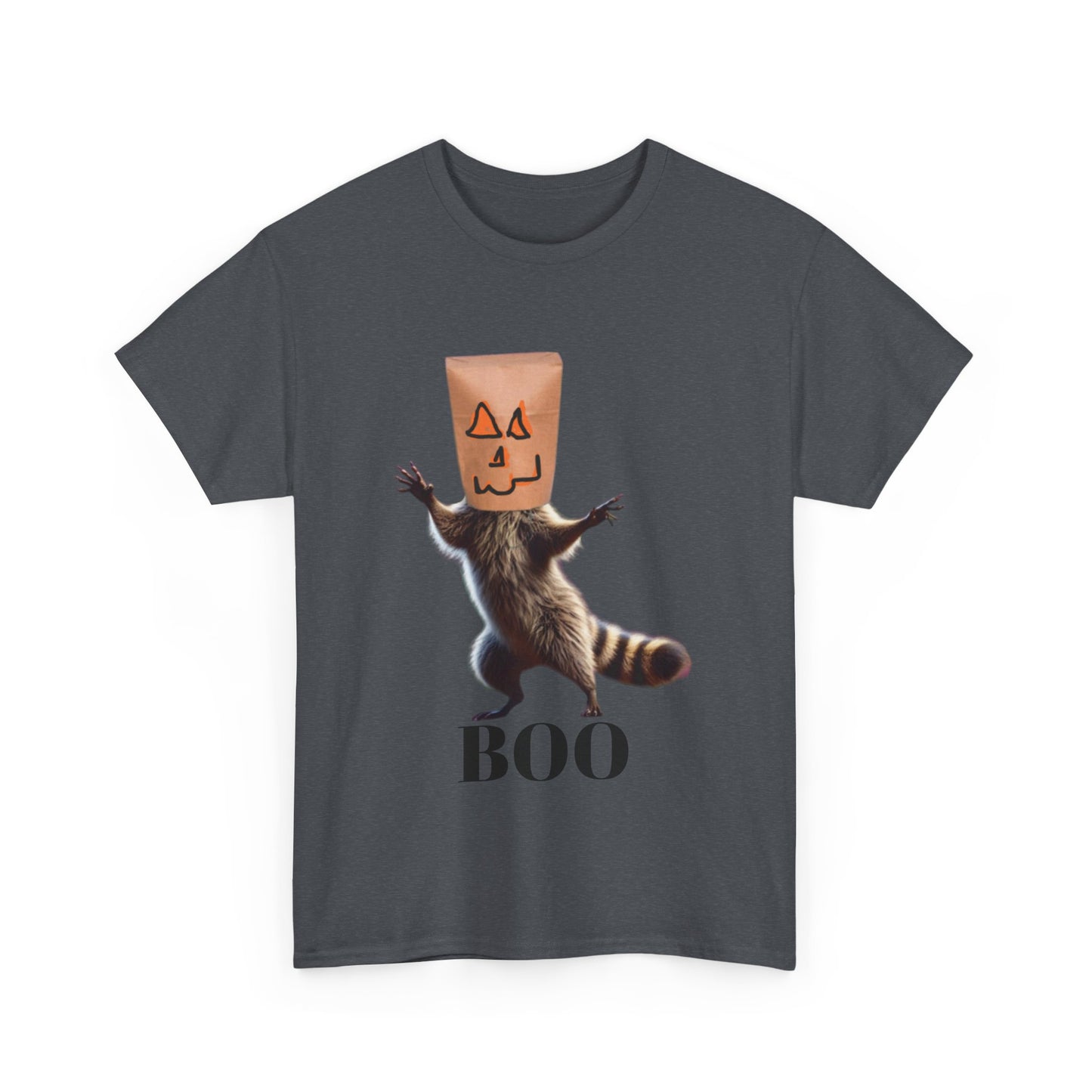 Boo Raccoon