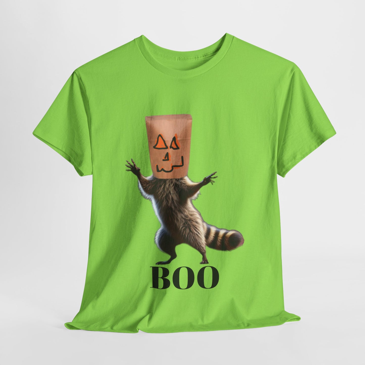 Boo Raccoon