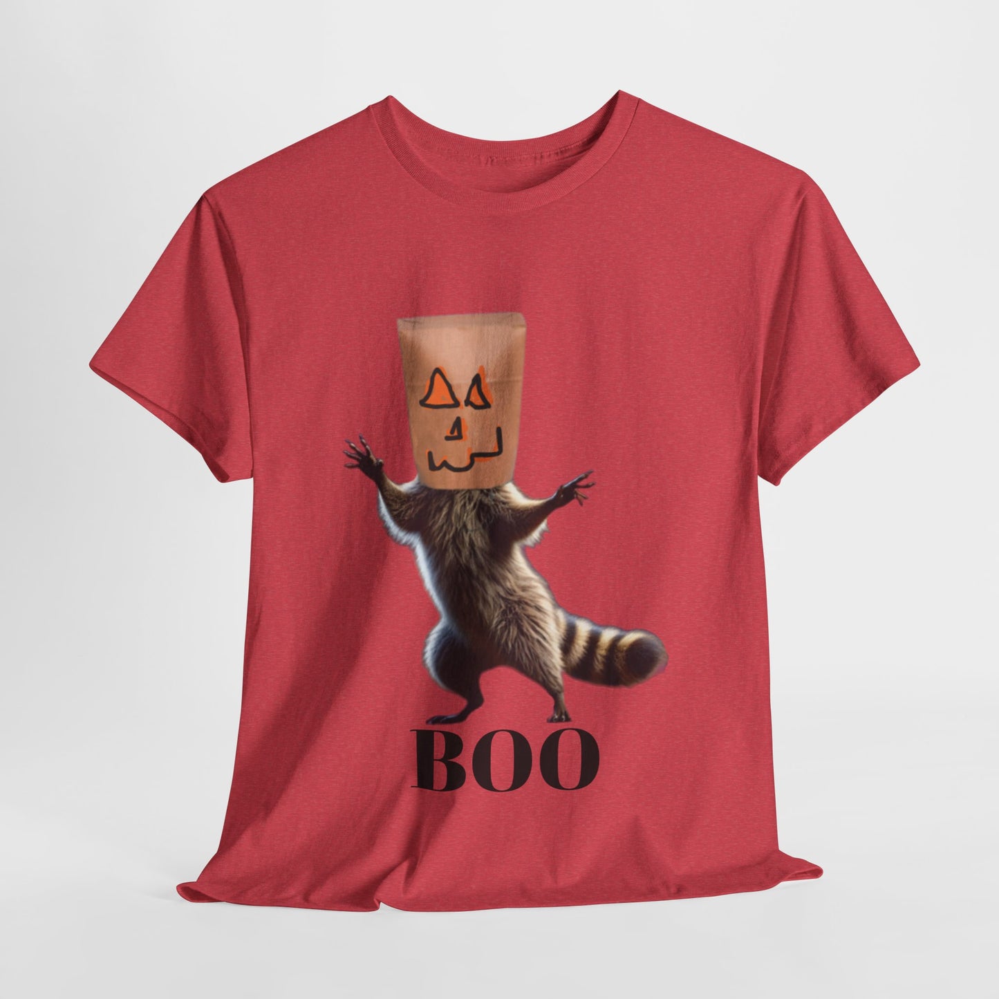 Boo Raccoon