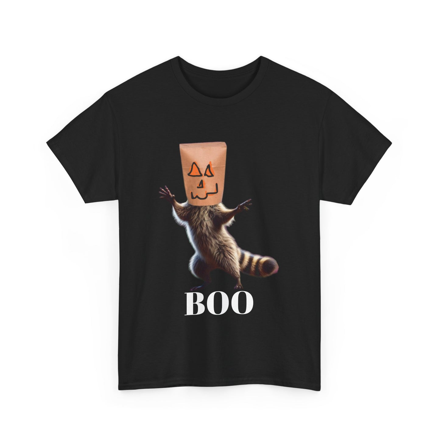 Boo Raccoon