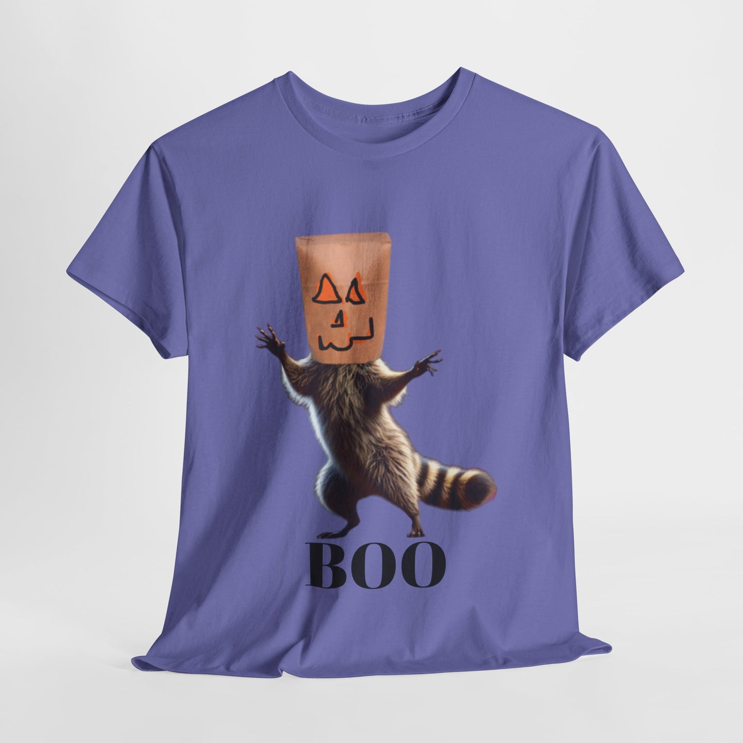 Boo Raccoon