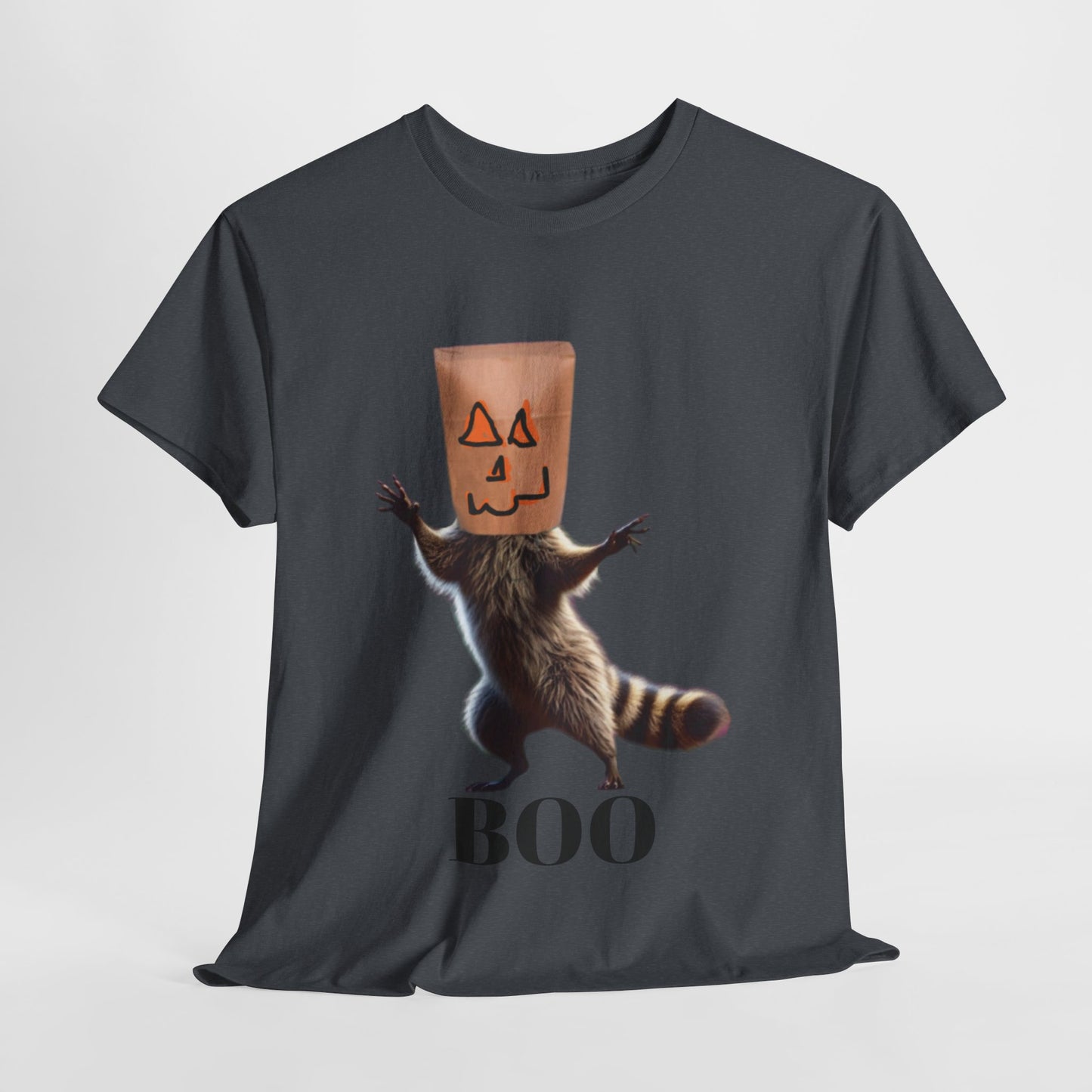 Boo Raccoon