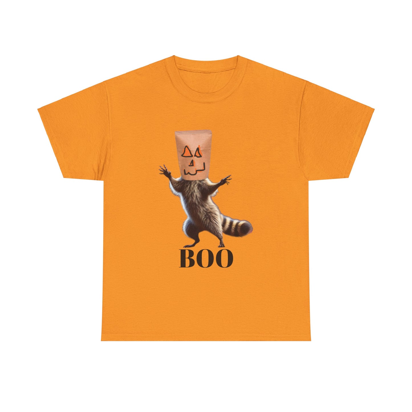 Boo Raccoon