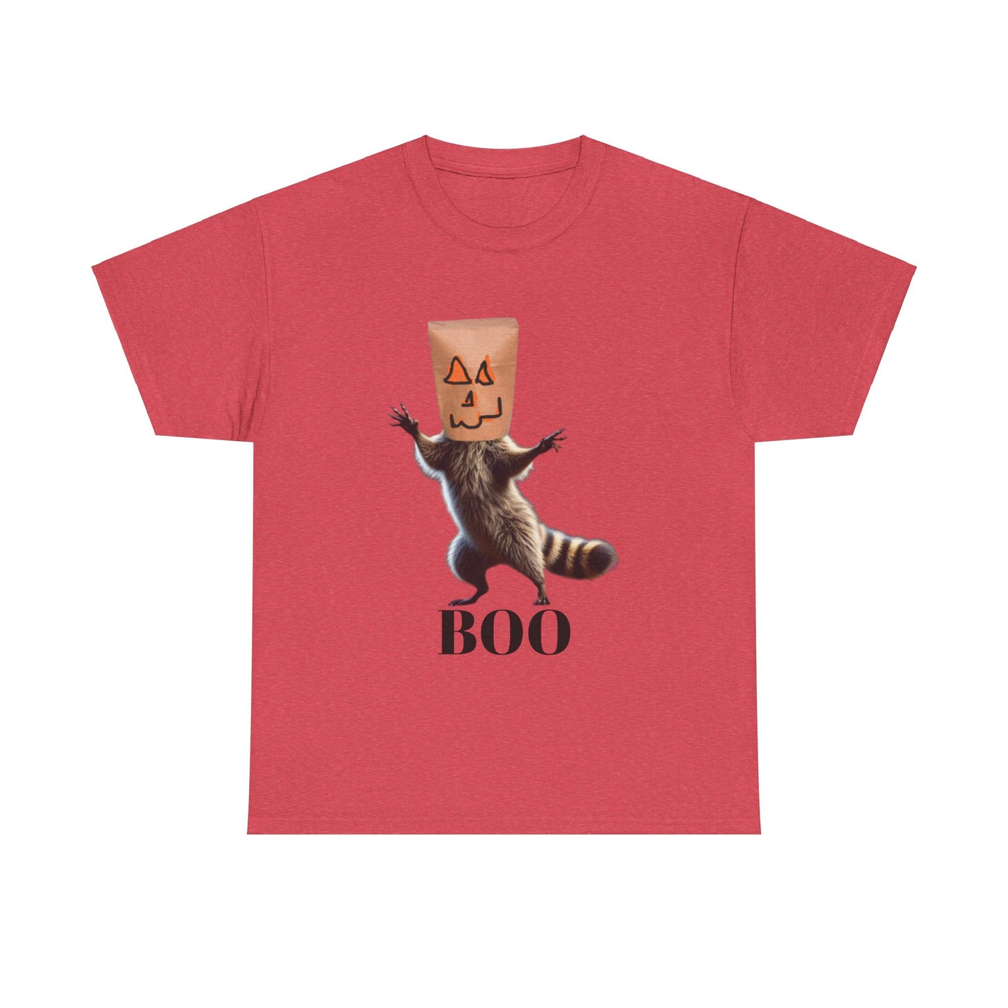 Boo Raccoon