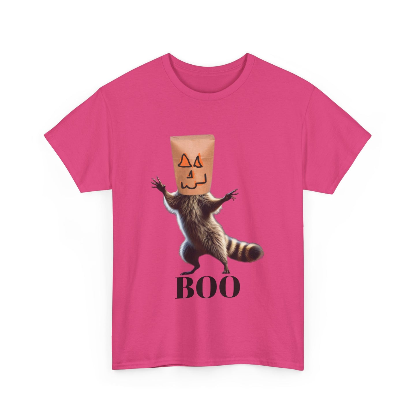 Boo Raccoon