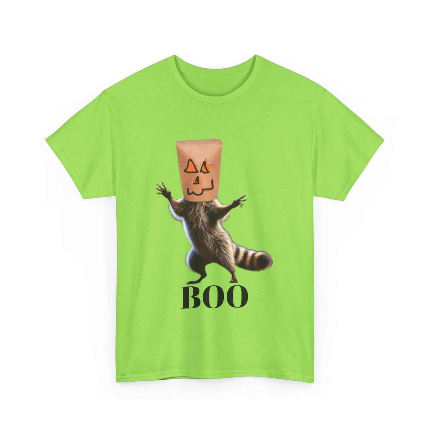 Boo Raccoon