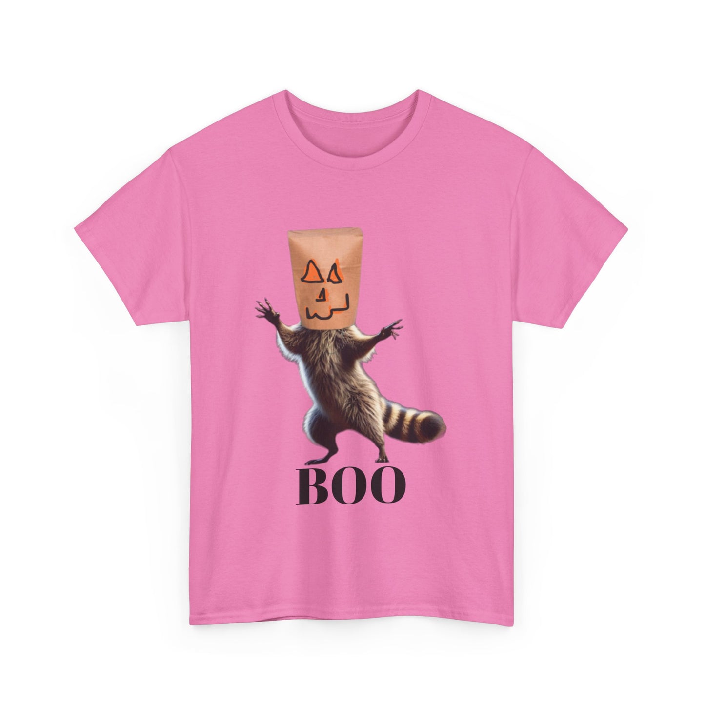 Boo Raccoon