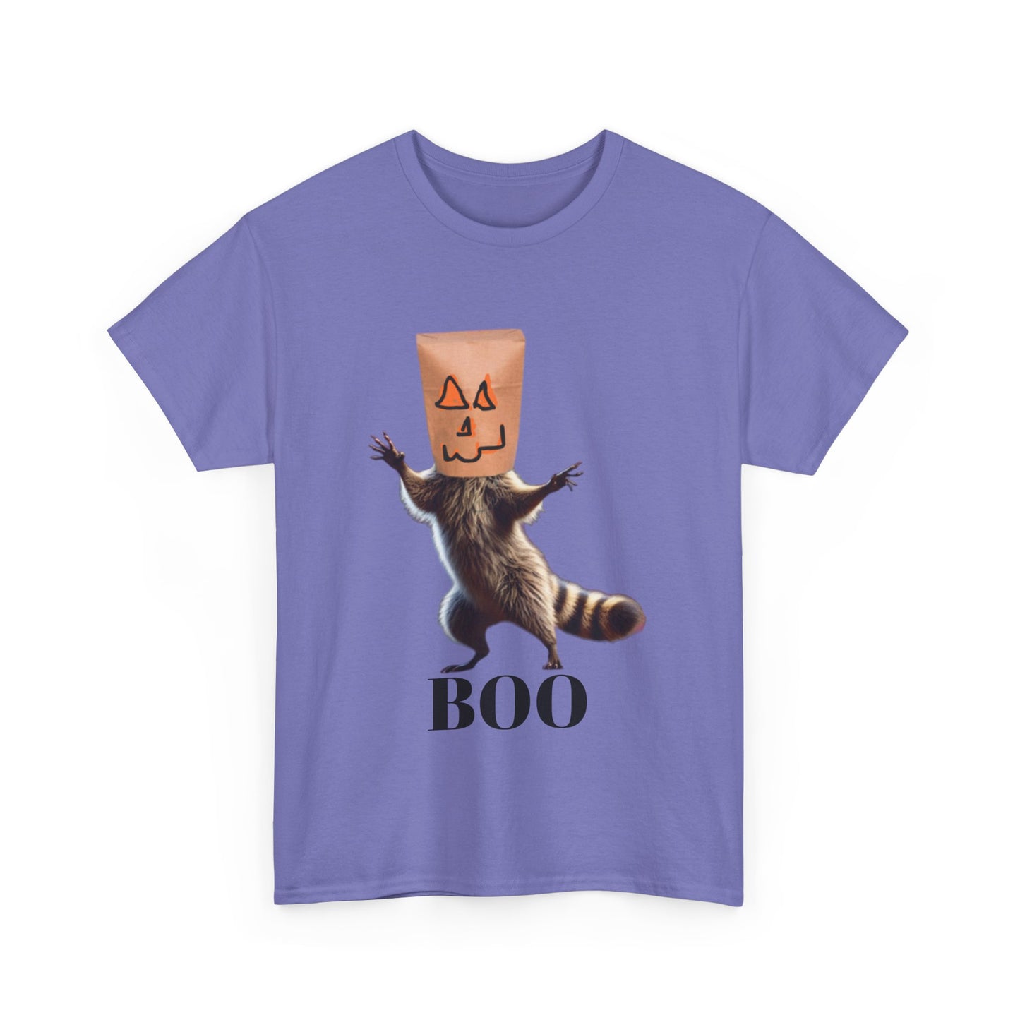 Boo Raccoon