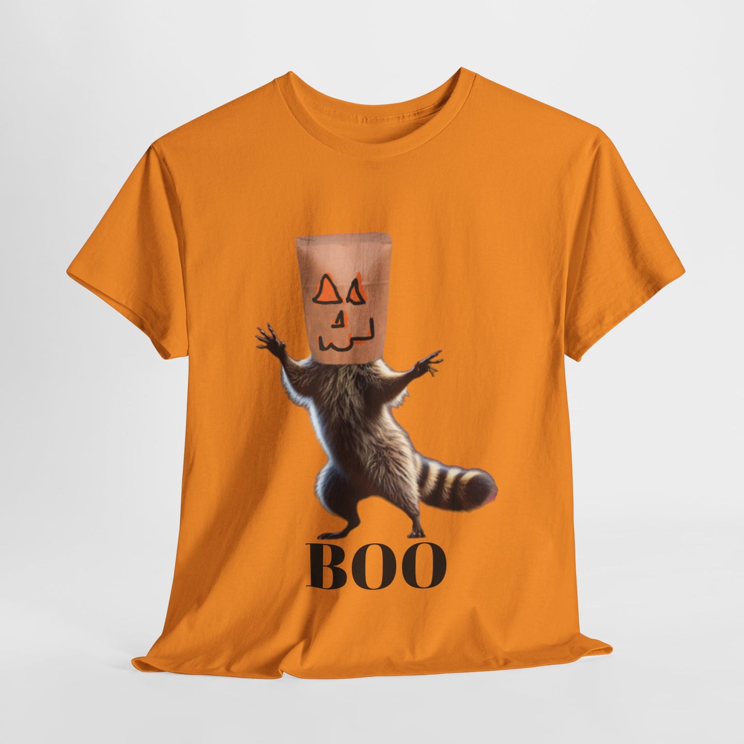 Boo Raccoon