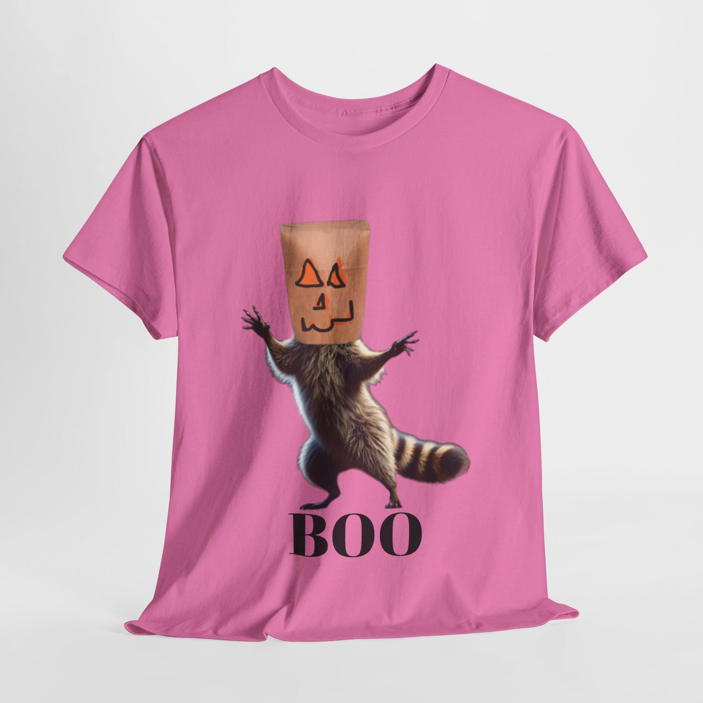 Boo Raccoon